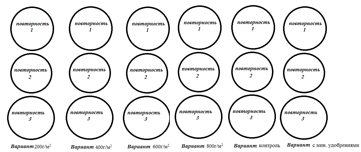 Схема опыта при внесении компоста