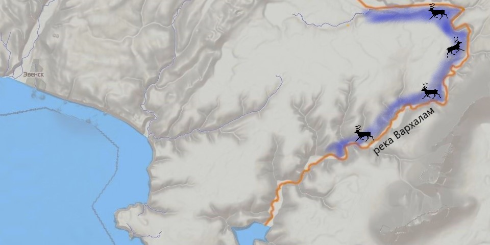 The route of the herd of Even breed deer in the tundra zone of the North-Evensky district of the Magadan region