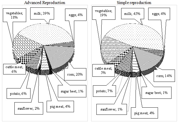 Structure for supporting production and ensuring physical accessibility of agricultural products