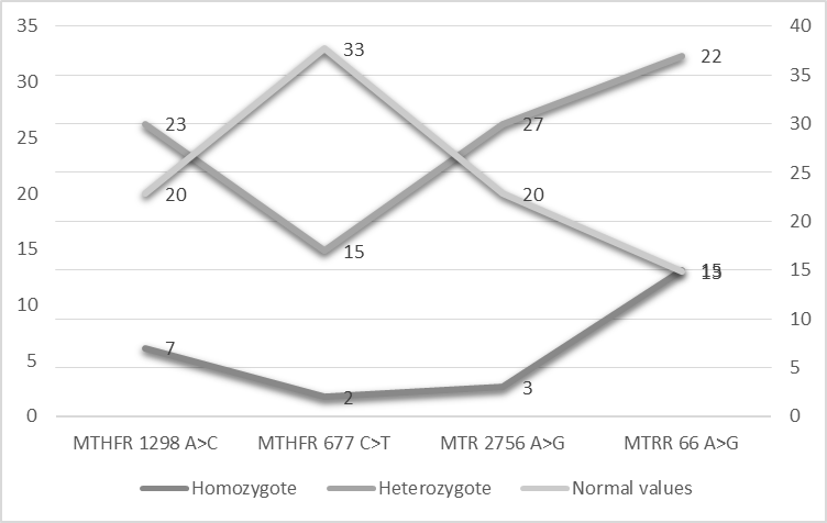 Distribution of SNP substitutions in the intermediate race (Kazakhs and Turkmens)