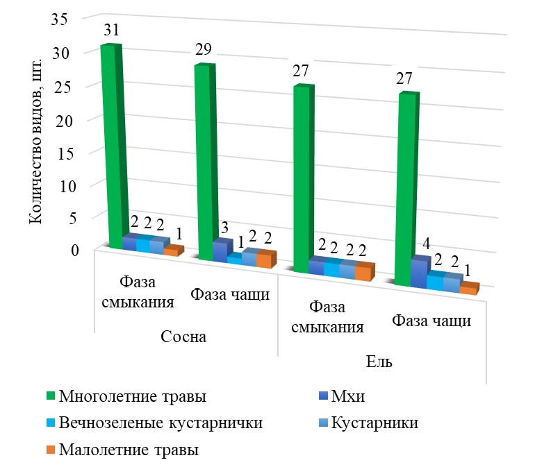 Видовое богатство растительных сообществ культур сосны и ели на дренированных почвах