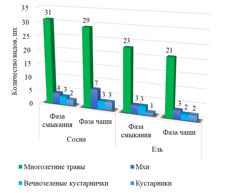 Видовое богатство растительных сообществ культур сосны и ели в условиях периодического переувлажнения почв