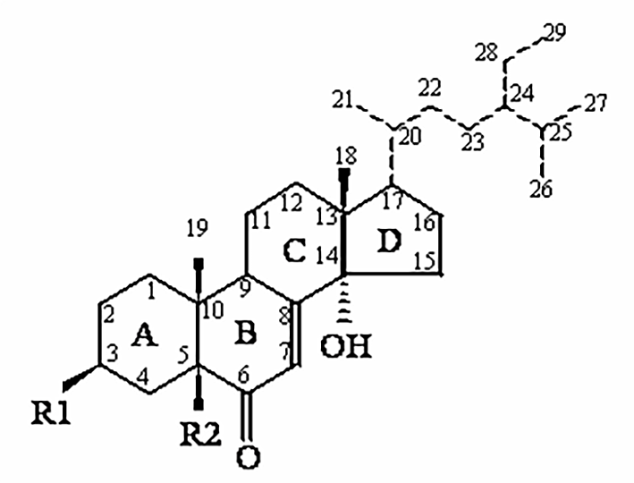 General structural composition of phytoecdysteroids