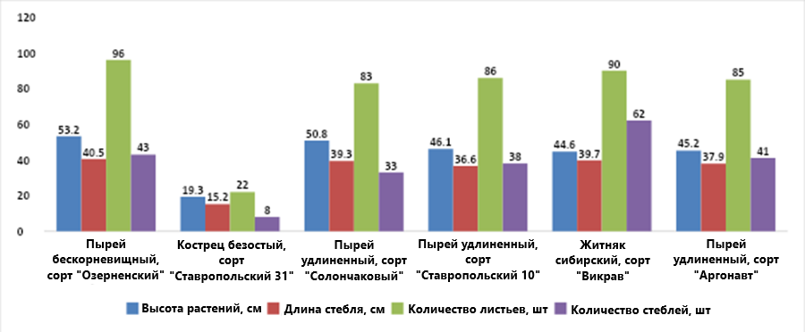 Морфометрические показатели многолетних злаковых культур