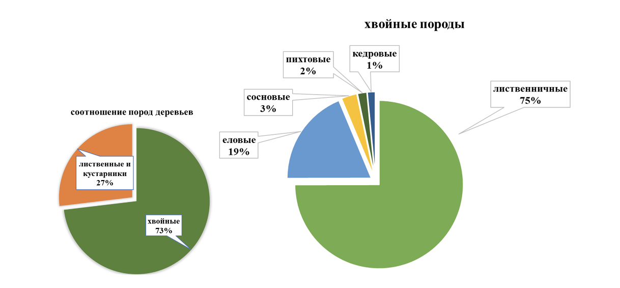 Древесные породы Хабаровского края