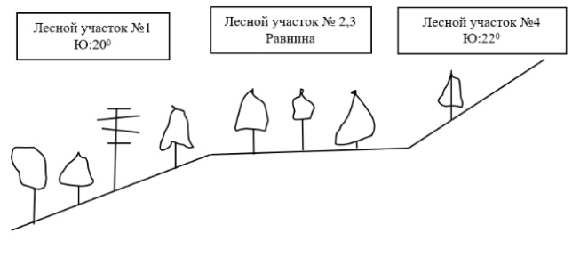 Схема расположения опытных участков