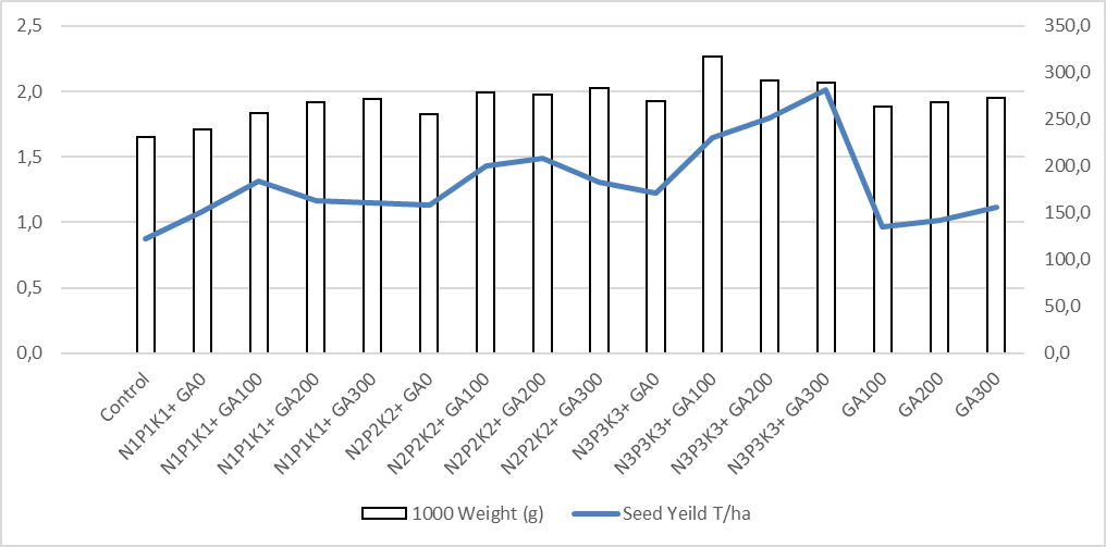 The productivities of seed yield by ton per hectare and weight of 1000 seeds counted with gram during field seasons 2022-2024