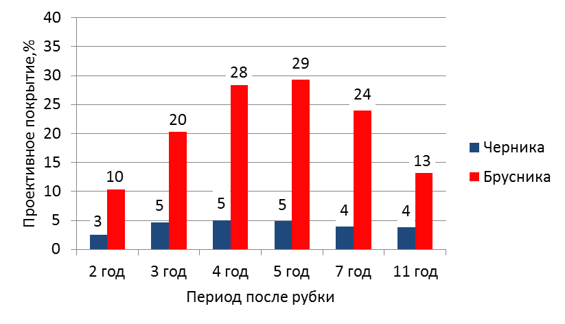 Среднее проективное покрытие черники и брусники на вырубке