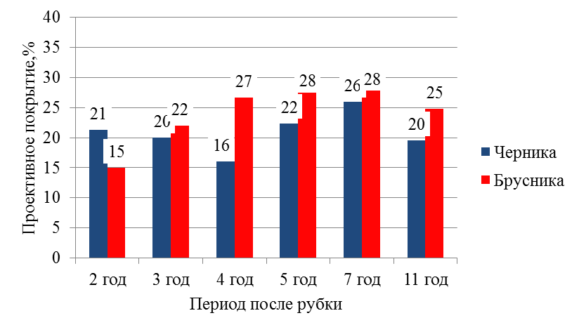 Среднее проективное покрытие черники и брусники в лесу 