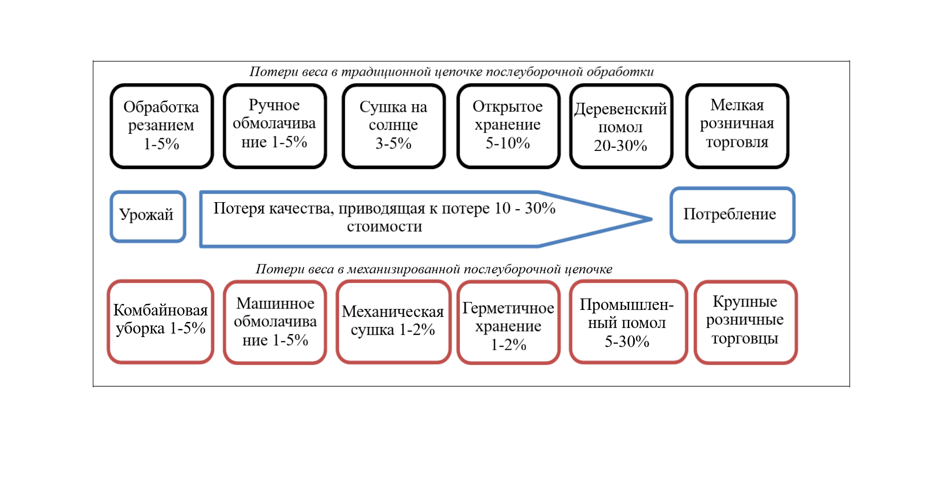 Расчетные потери (вес и качество) в цепочке послеуборочной обработки семян зерновых культур