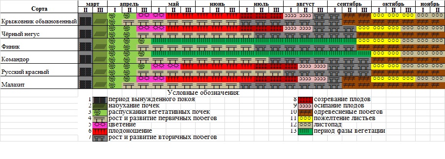 Феноритмика интродуцированных сортов крыжовника в условиях Памира