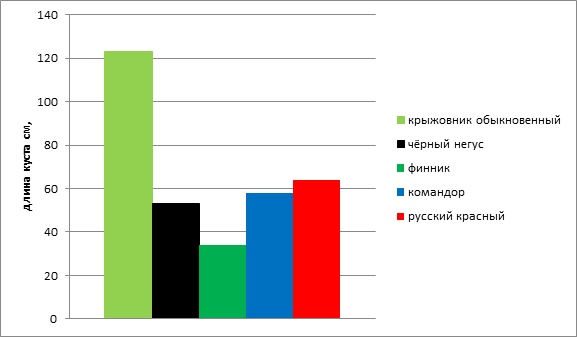 Высота различных сортов крыжовника произрастающих в условиях Памира