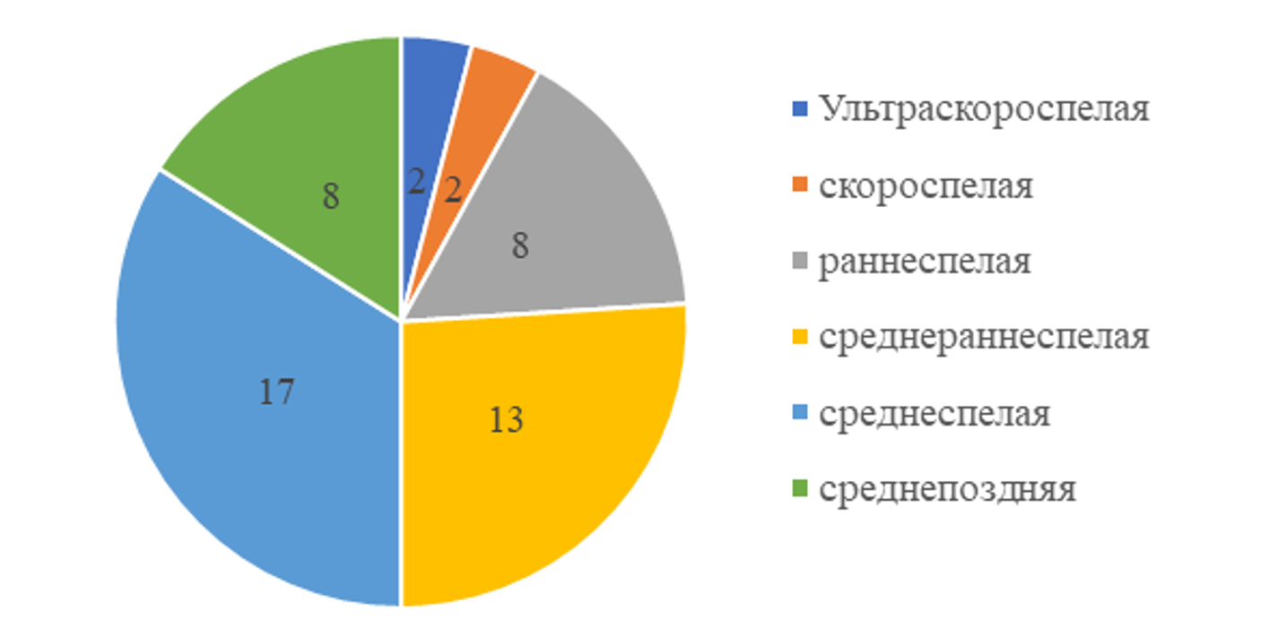 Распределение селекционного материала по группам спелости
