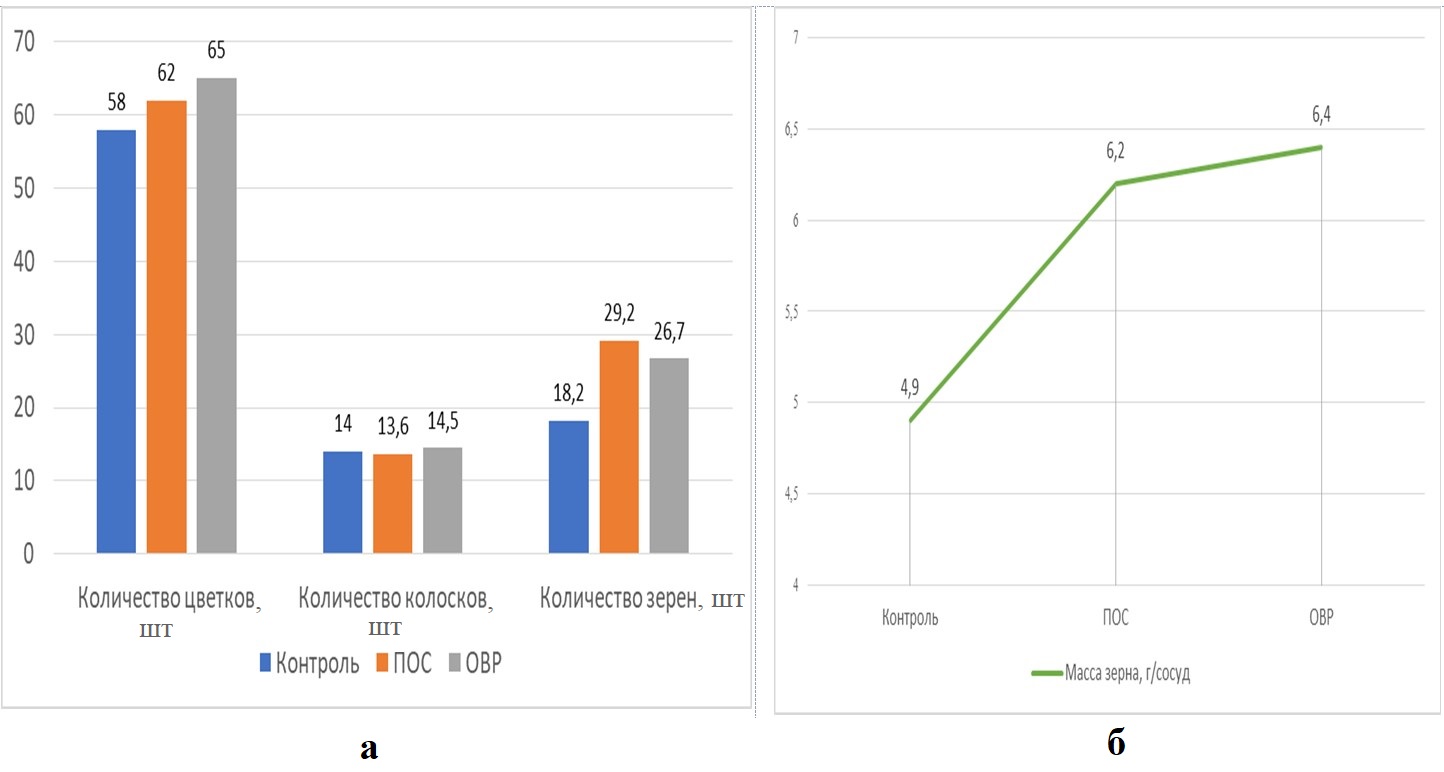 Влияние различных способ обработки селеном на элементы продуктивности (а) и урожайности (б) яровой пшеницы сорта Злата при оптимальном переувлажнении почвы