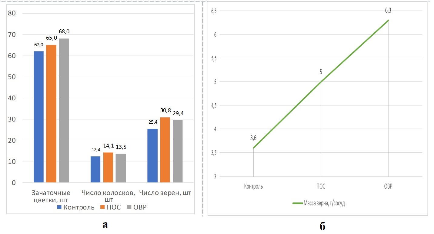 Влияние различных способ обработки селеном на элементы продуктивности (а) и урожайности (б) яровой пшеницы сорта Эстер при оптимальном переувлажнении почвы
