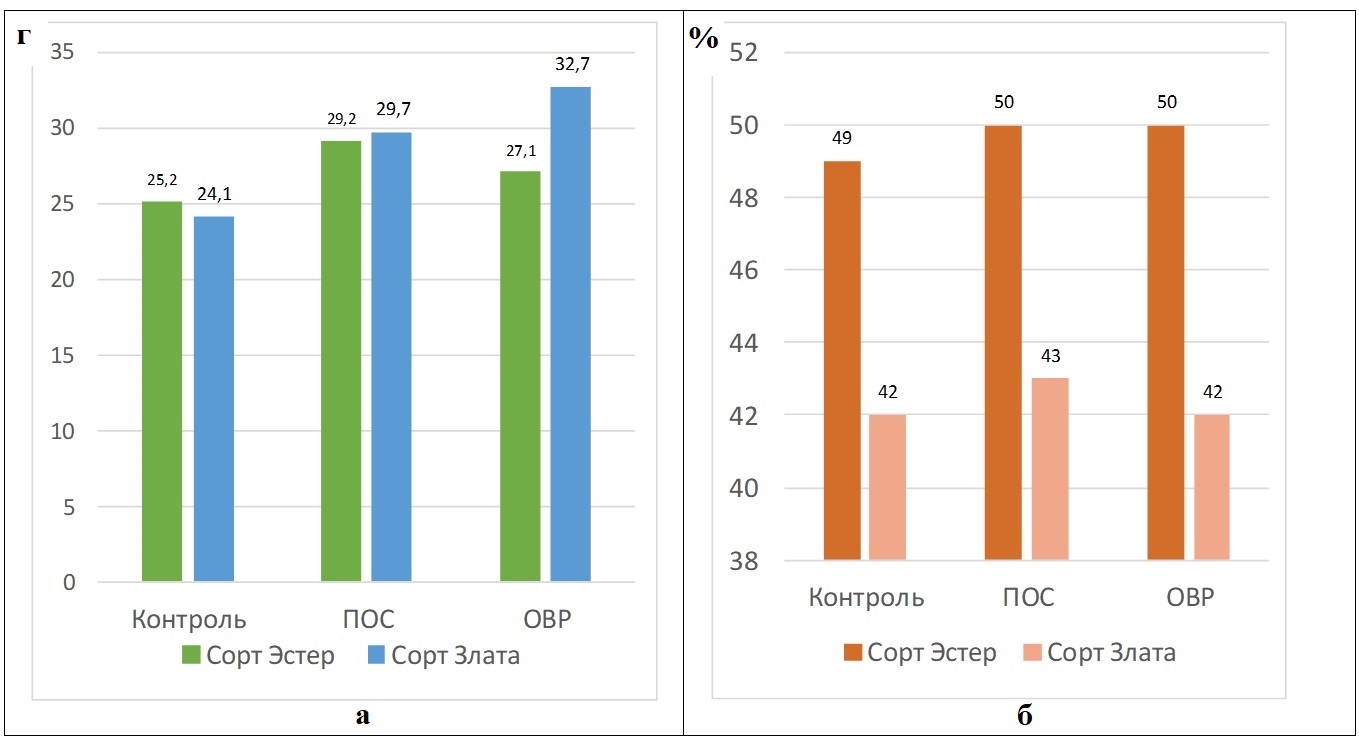 Влияние различных способов обработки селеном на массу 1000 зерен (а) и коэффициент хохзяйственной эффективности фотосинтеза (б) яровой пшеницы при оптимальном увлажнении почвы