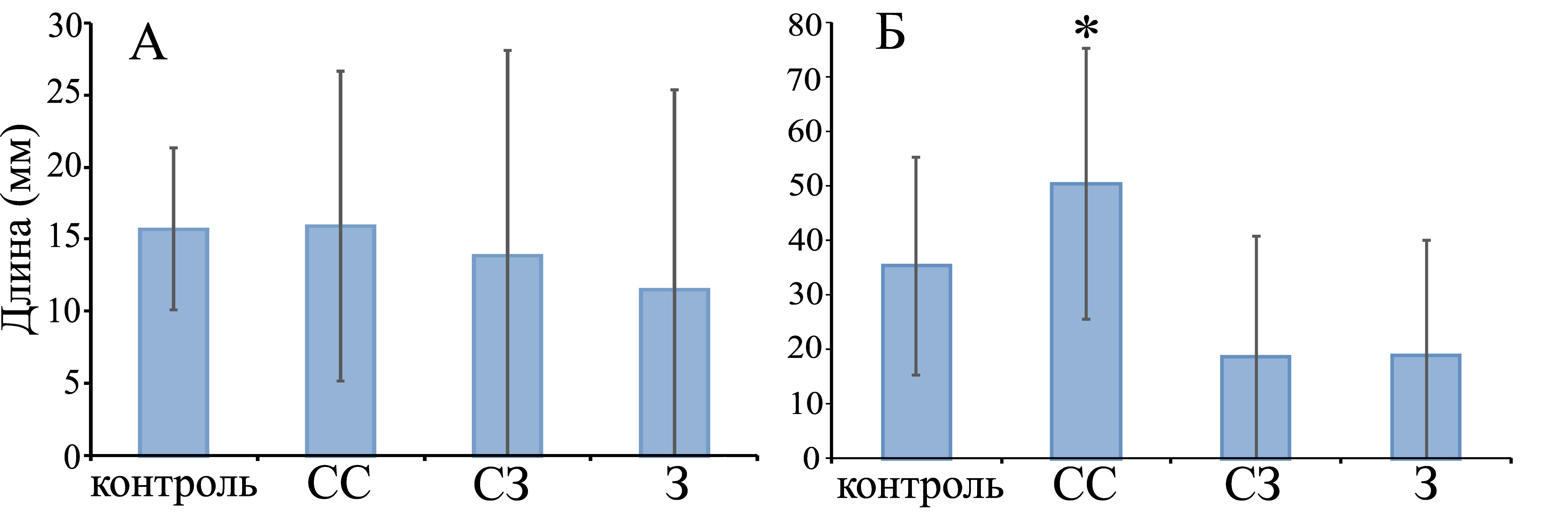 Длина побега (А) и корня (Б) 7-суточных проростков семян Sinapis alba при обработке экстрактами черного трюфеля