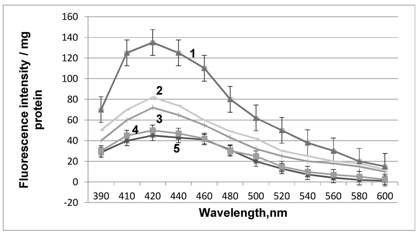 Fluorescence spectra of LPO products in mitochondrial membranes from 5-day-old etiolated pea seedlings under water deficit (WD) and after antioxidant seed treatment in conditions of water shortage