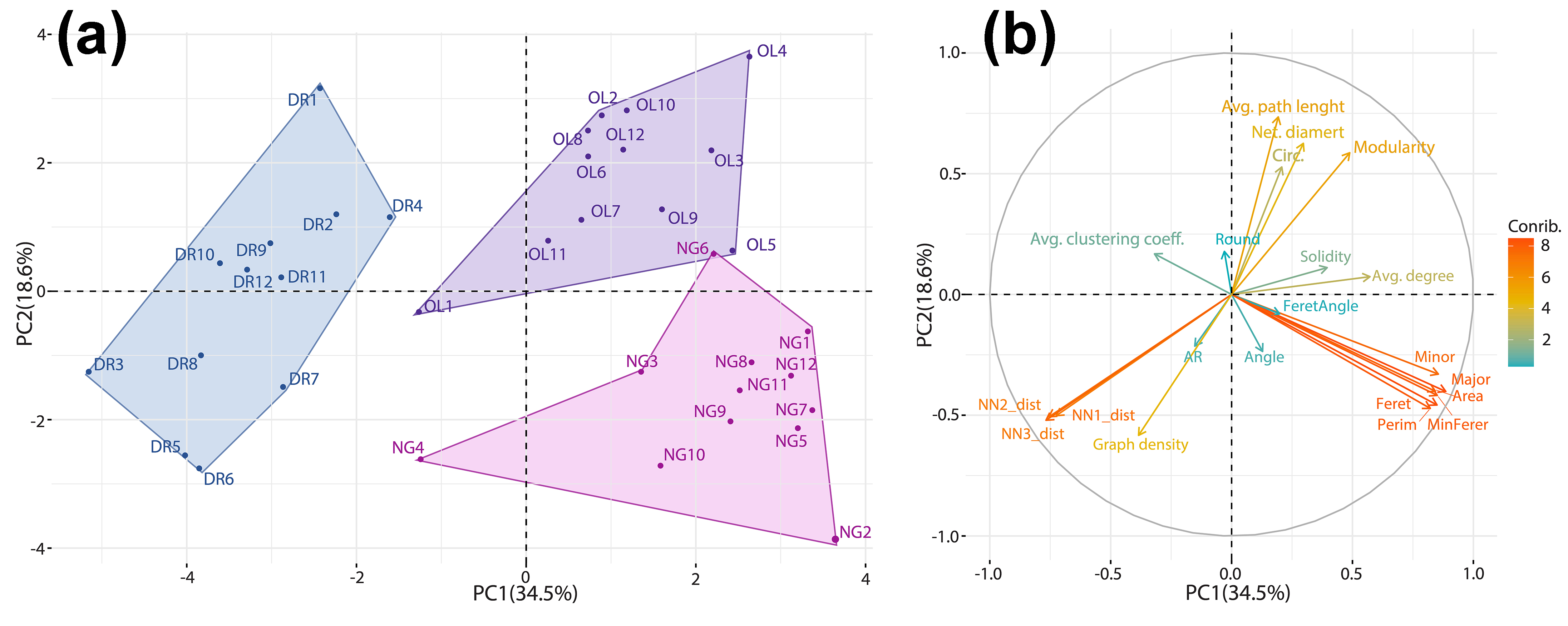 Результаты анализа главных компонент (PCA) на основе гистоморфометрических и метрики графов ядер гепатоцитов трех видов рыб: Диаграмма счетов (scores plot) (а) и диаграмма нагрузок (loadings plot)