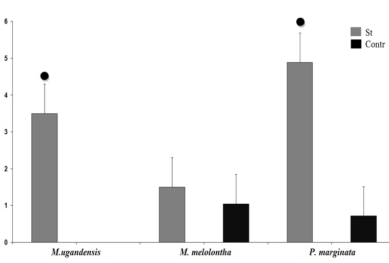 Среднее число реакции избегания стимула (ухода от стимула). St - стимул 150 Гц, Contr - контроль, ●-достоверные различия от контроля (p < 0.05, Fishers exact test, two-tailed).