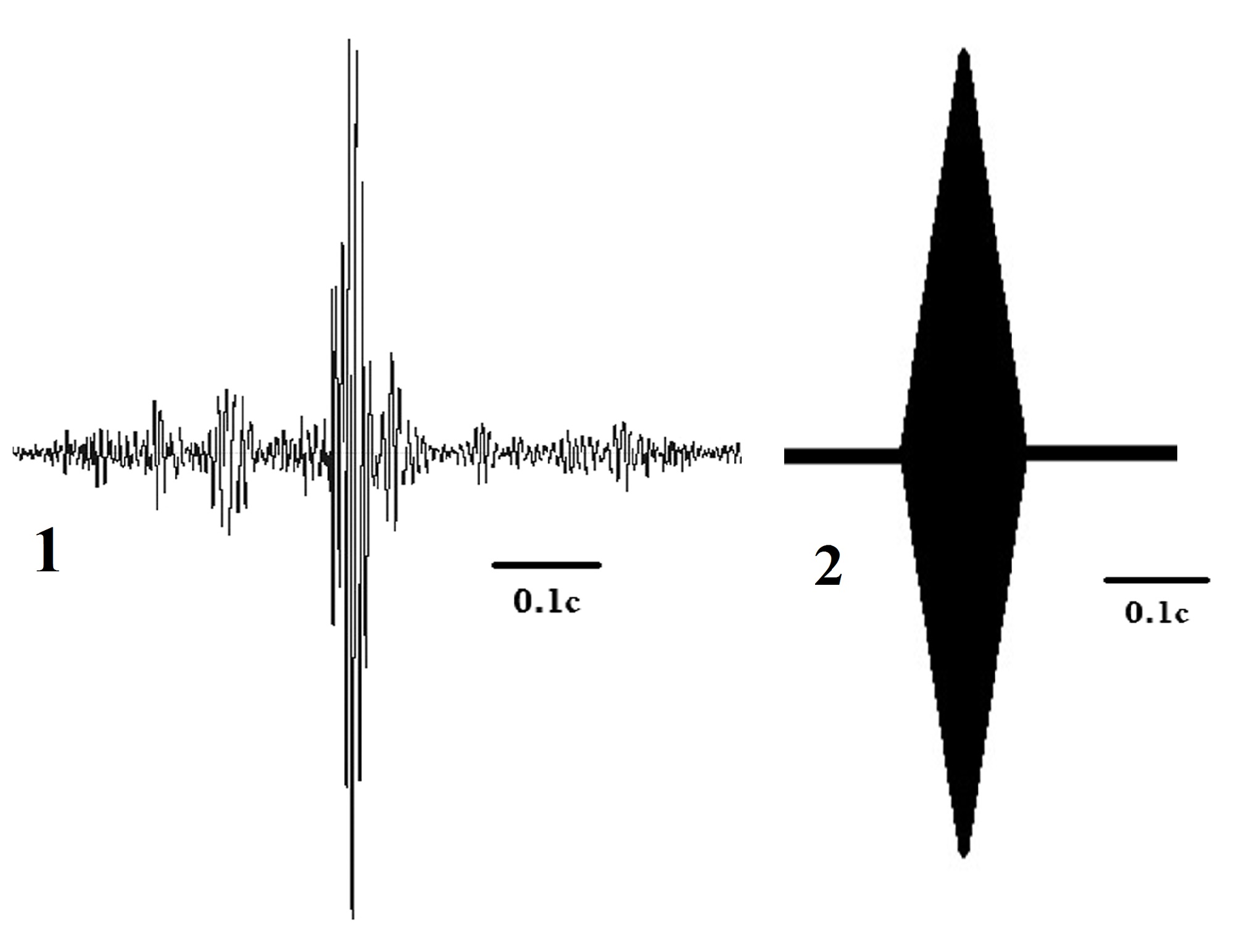 Осцилограмма неспецифического удара о субстрат и модельный стимул