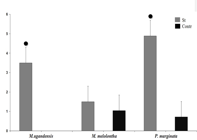 Среднее число подходов к стимулу: St - стимул 150 Гц; Contr - контроль; ● - достоверные различия от контроля