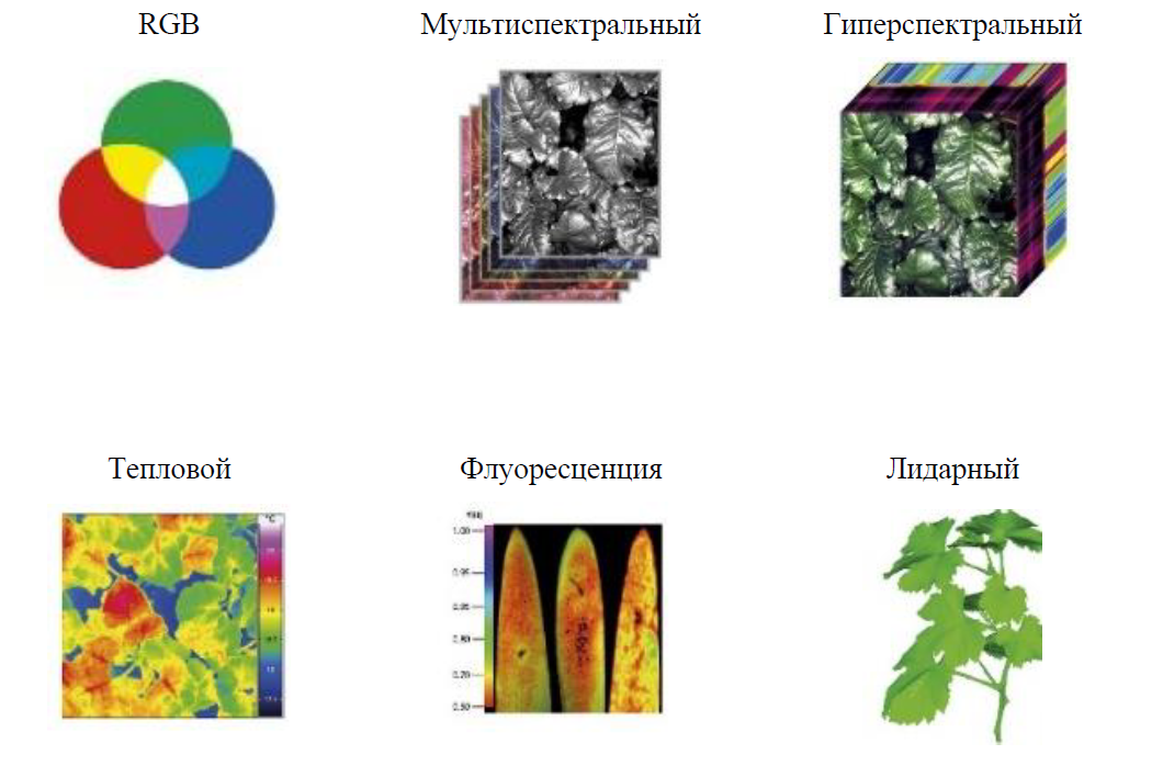Сенсорные технологии поиска и идентификации состояния орошаемых агрофитоценозов