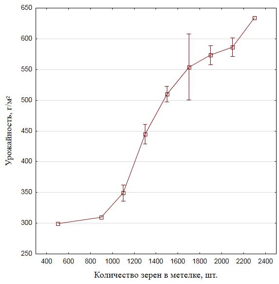 Зависимость урожайности от количества зерен в метелке (2020-2024 гг.)
