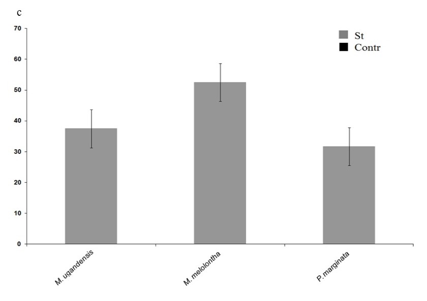 Латентные периоды от начала стимуляции до начала двигательной активности личинок