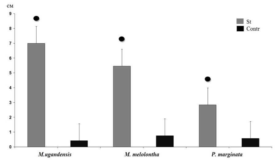 Средняя дистанция перемещения личинок во время эксперимента: St - стимул 150 Гц; Contr - контроль; ● - достоверные отличия от контроля