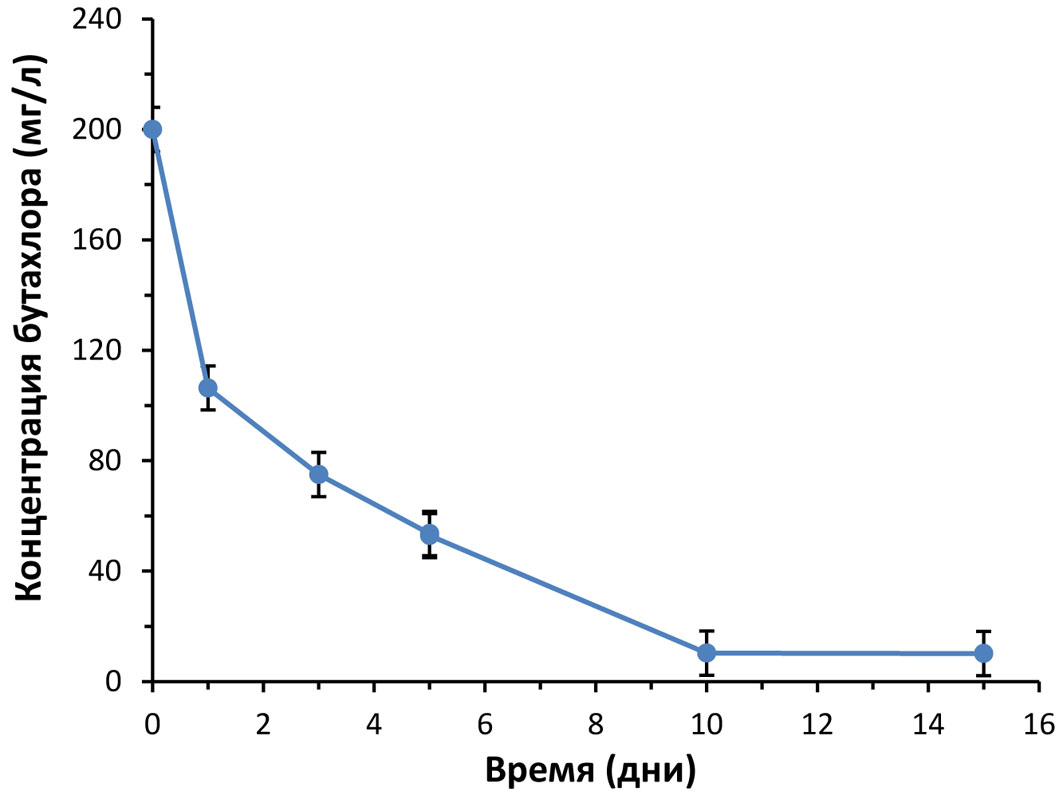 Динамика убыли содержания бутахлора в образцах культуральных жидкостей, отобранных в разные дни инкубирования пеллет Trametes hirsuta. Концентрация бутахлора определена методом ВЭЖХ