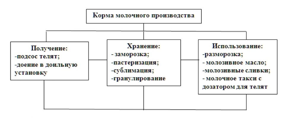 Экологическая конверсия корма для телят раннего возраста