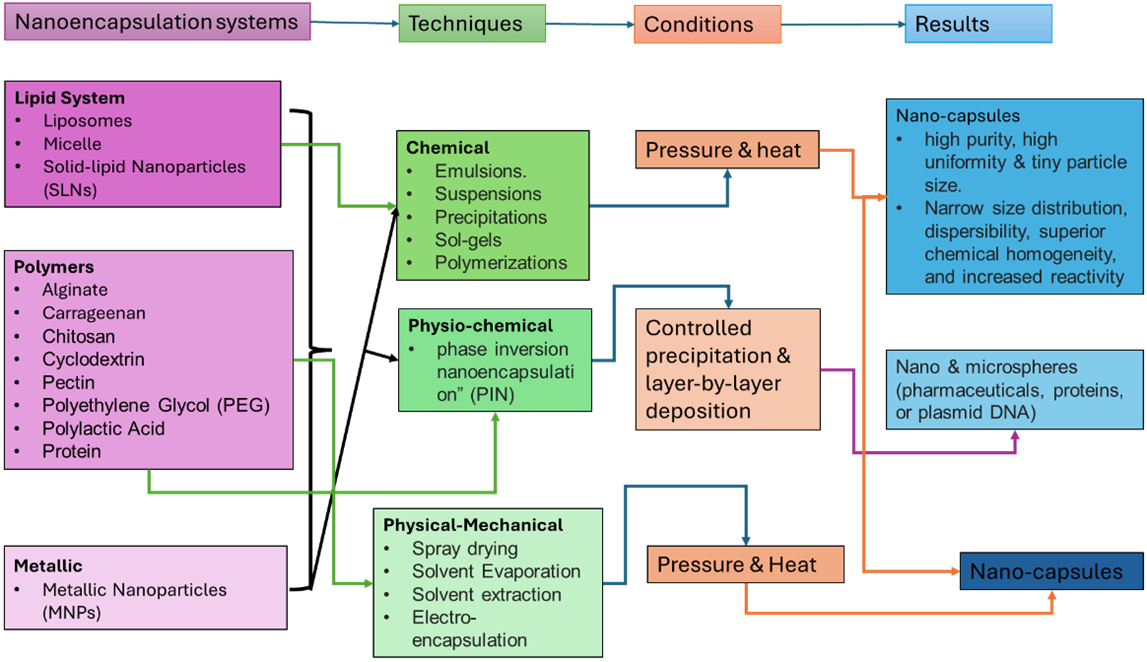 A summative scheme showing the different ways of forming nanoscale capsules, the techniques involved, the different conditions required, and the resulting nanoscale carrier