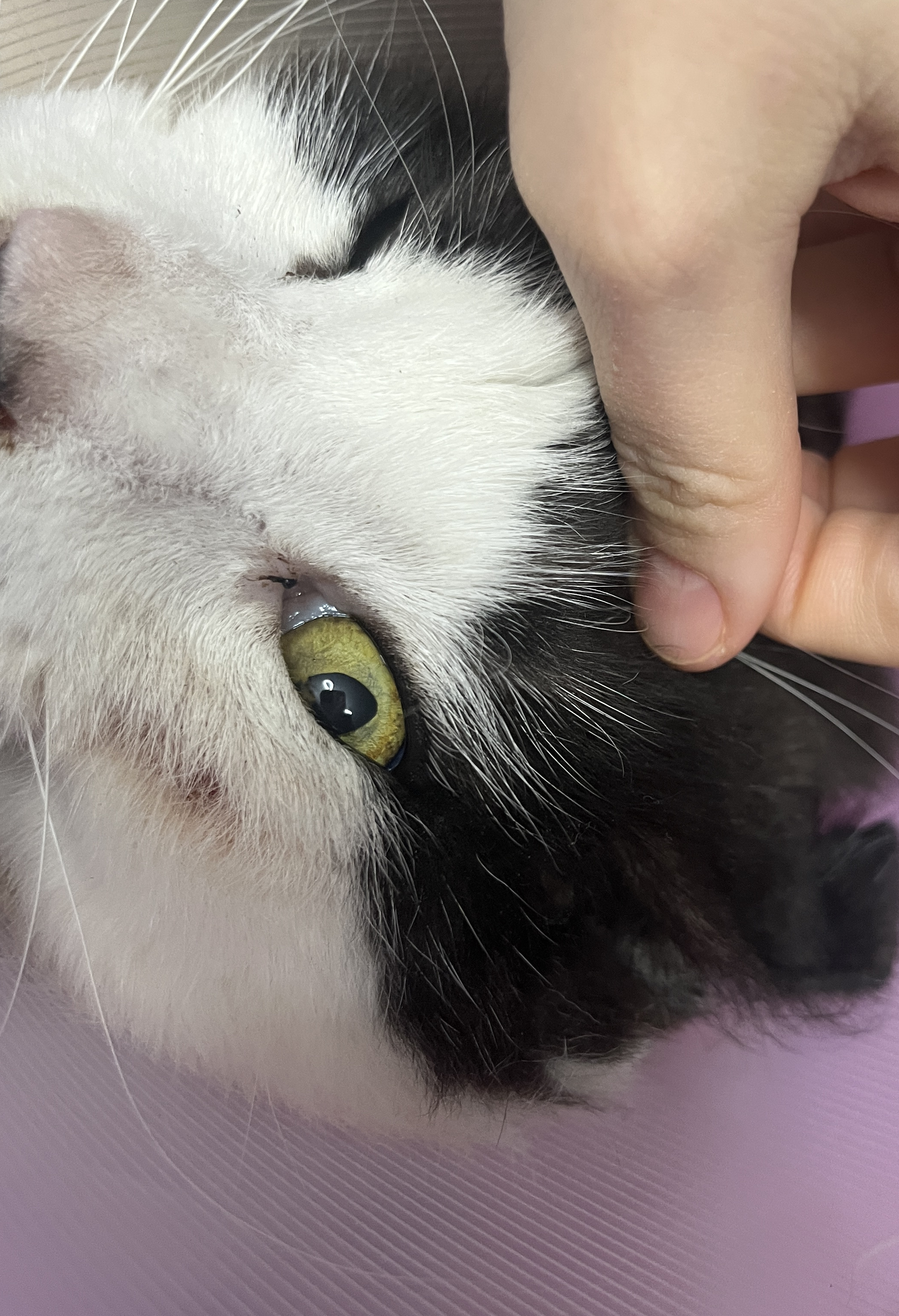 Состояние роговицы на данный момент времени