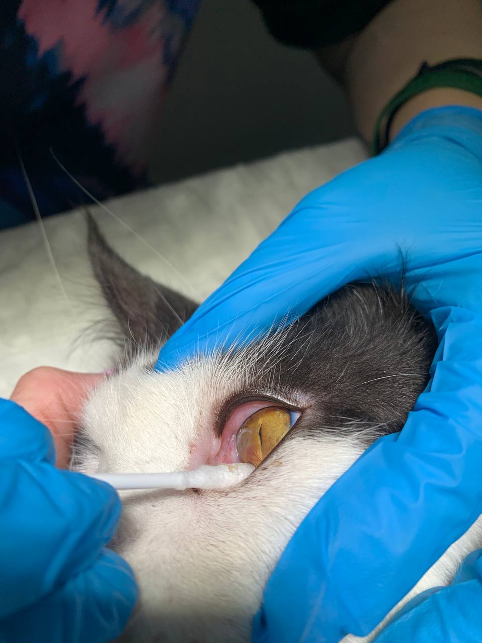  Роговица после ламелярной кератэктомии