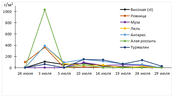 Динамика формирования урожайности плодов сортами малины в 2023 г.