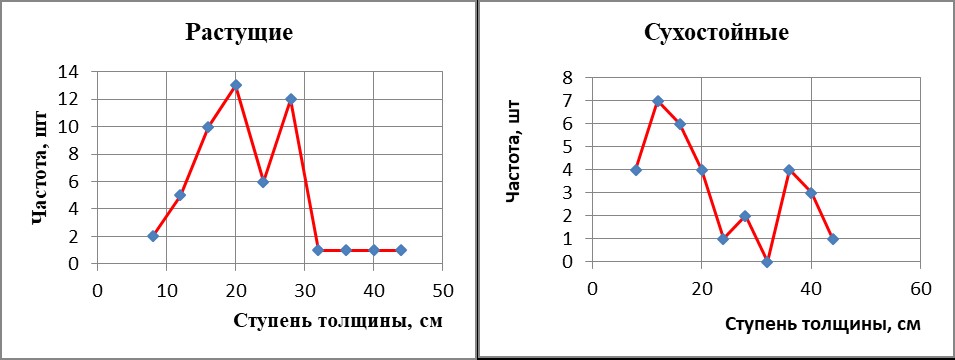 Лесной участок №5