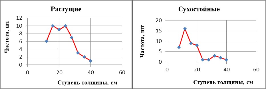 Рисунок 8 - Лесной участок №8
