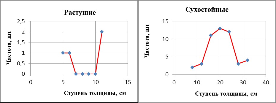 Лесной участок №3