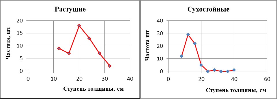 Лесной участок №2