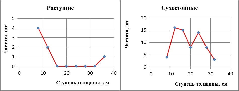 Лесной участок №4