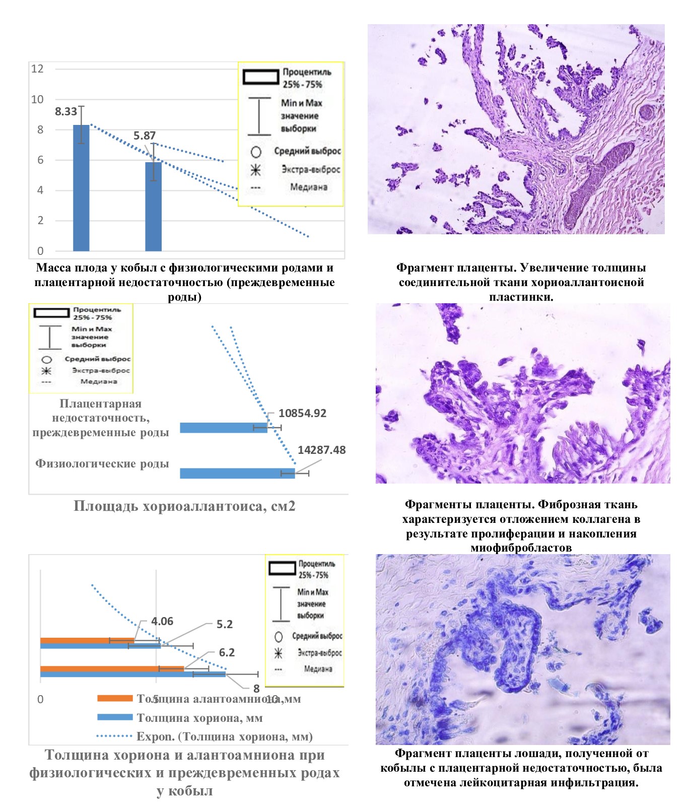 Морфологические и гистохимические изменения в плодной части плаценты у кобыл с плацентарной недостаточностью (преждевременные роды)