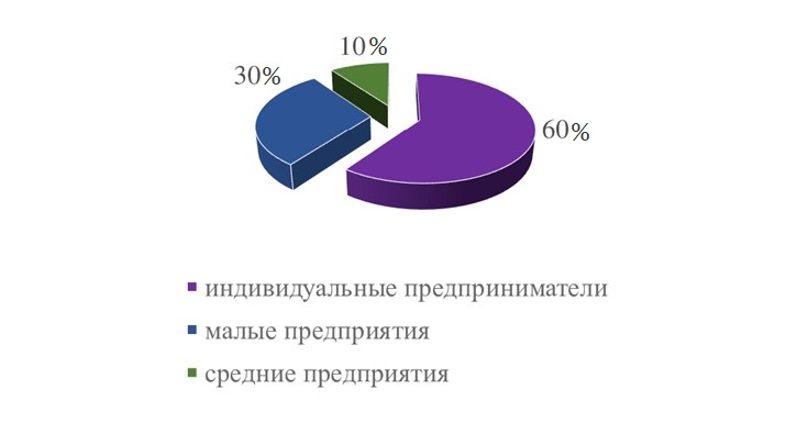Структура предприятий МСП по лесному хозяйству в Республике Башкортостан, 2024 г.