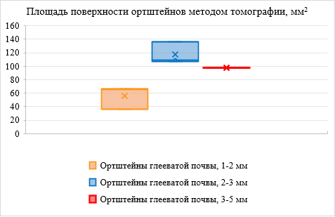 Площадь поверхности ортштейнов методом томографии